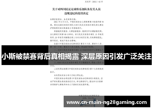 小斯被禁赛背后真相揭露 深层原因引发广泛关注 小斯被禁赛背后真相揭露 深层原因引发广泛关注