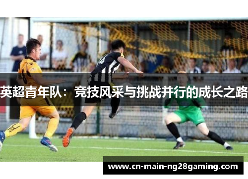 英超青年队：竞技风采与挑战并行的成长之路