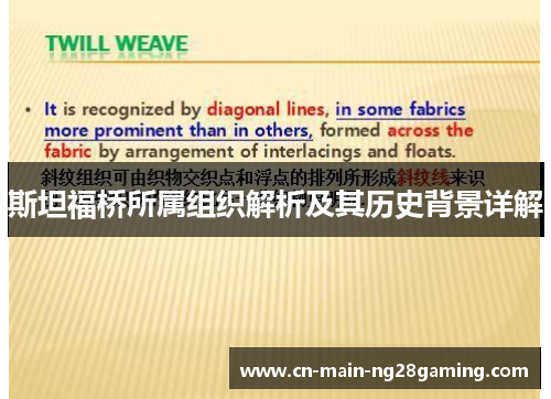 斯坦福桥所属组织解析及其历史背景详解